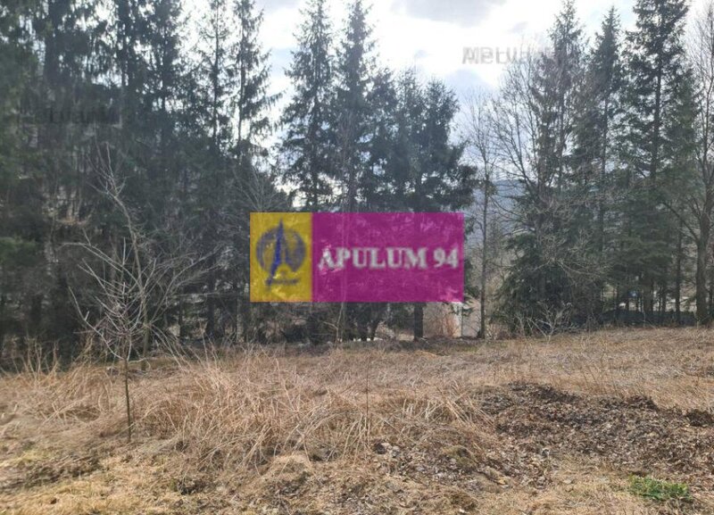 Teren de vanzare in Sinaia - Platou Izvor